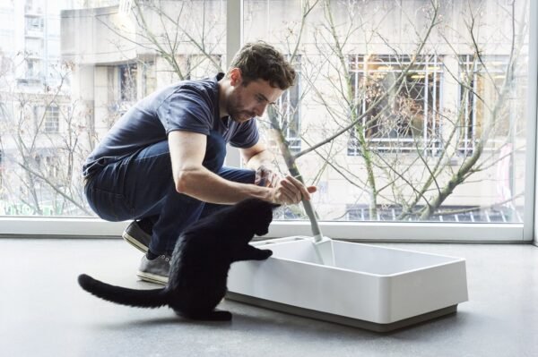 1-tuftandpawcovelitterbox_16_-min_1 tuft + paw Cove Litter Box