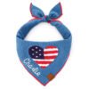 Americana Applique Dog Bandana