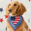 Americana Applique Dog Bandana