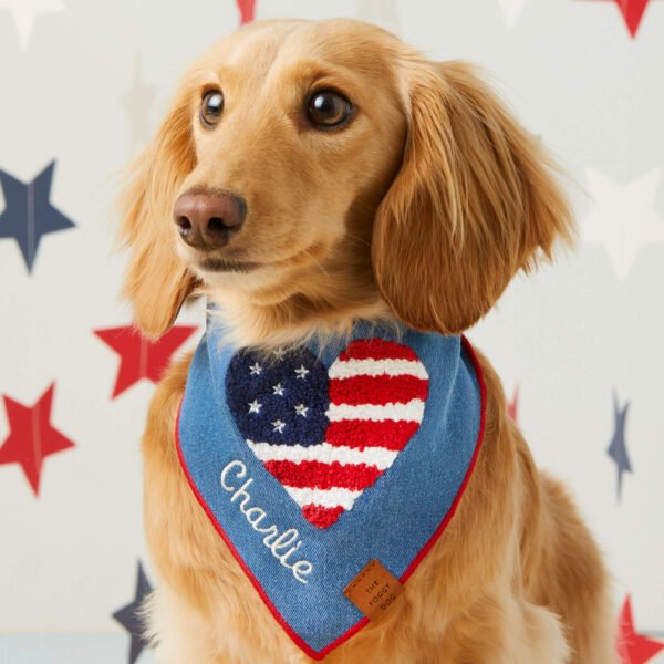 Americana Applique Dog Bandana