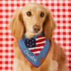 Americana Applique Dog Bandana