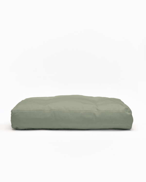 BFFABLEFIGURE061719_SHOT22_015_2 Bed