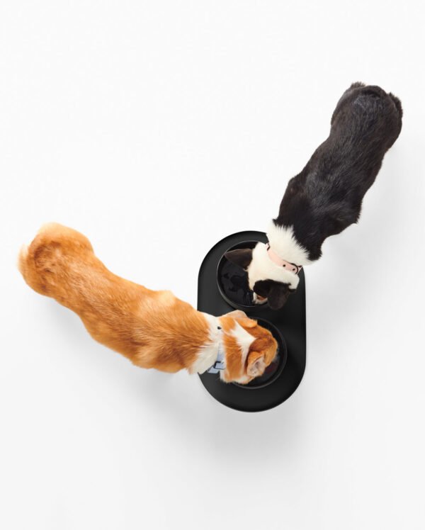 COMITA_221101_FABLE_Ecomm_10_Bowl_Mat_272_B_Black Signature Bowl Mat