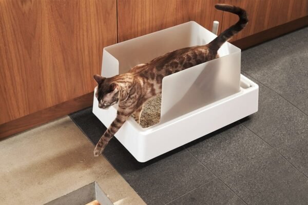 Cove-Litter-sale-4-PDP-130610 tuft + paw Cove Litter Box
