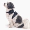 Signature Harness