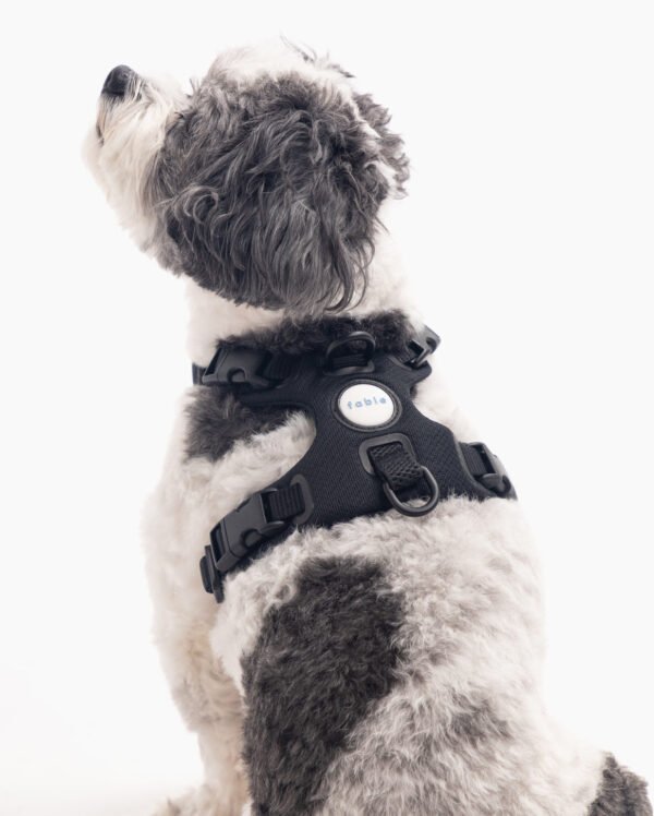 Signature Harness