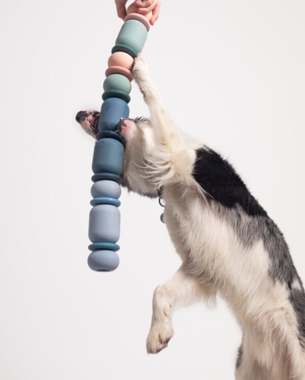 FABLE-1094a Armadillo™