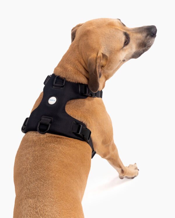 Signature Harness