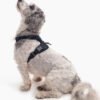 Signature Harness