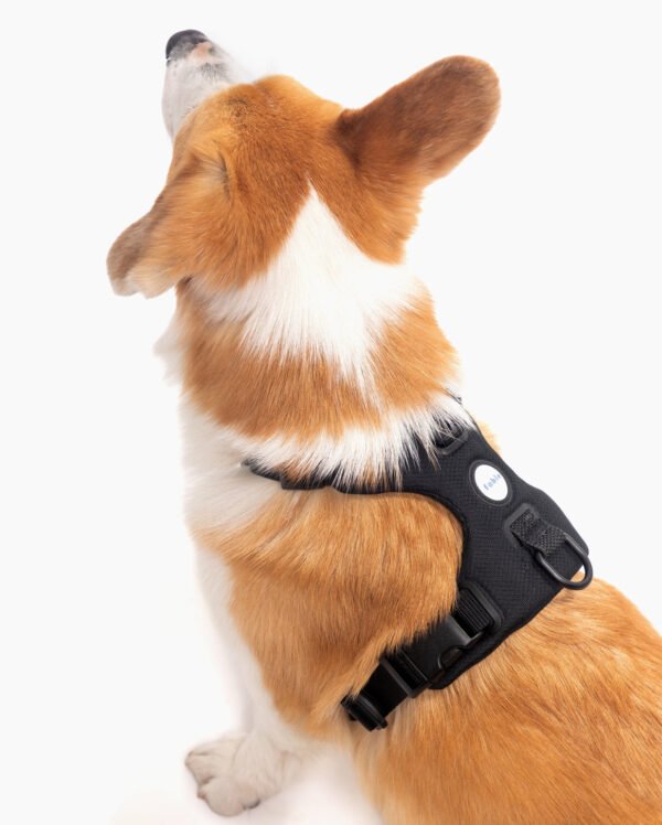 Signature Harness