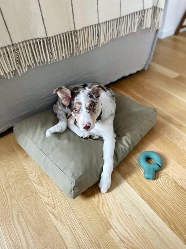 Facetune_29-03-2022-17-52-57 Bed