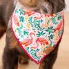 Flamingo_Bandana_ZOOM Printfresh x TFD Flock of Flamingos Dog Bandana