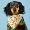 Fruit Salad Dog Bandana