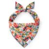 Garden-Party_Bandana Rifle Paper Co. x TFD Garden Party Dog Bandana