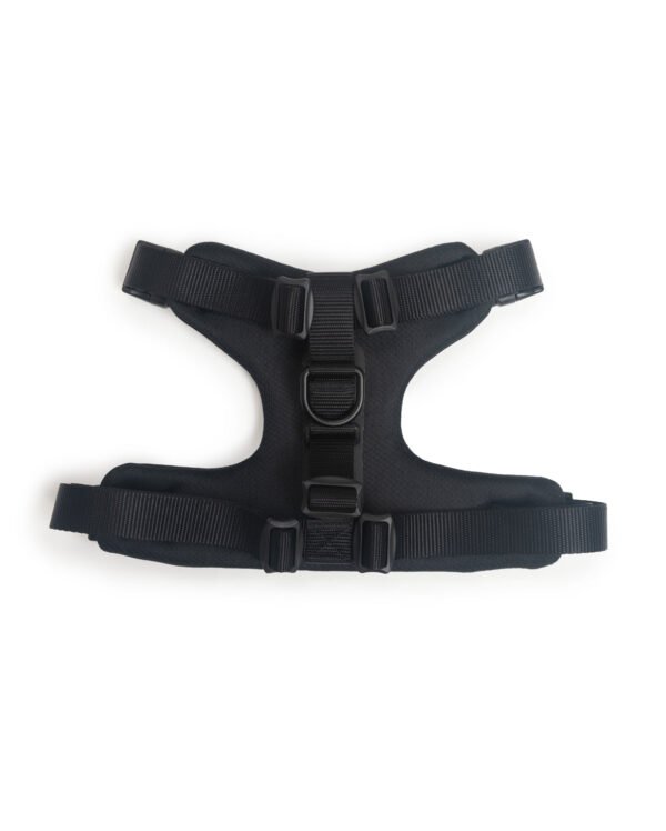 Signature Harness