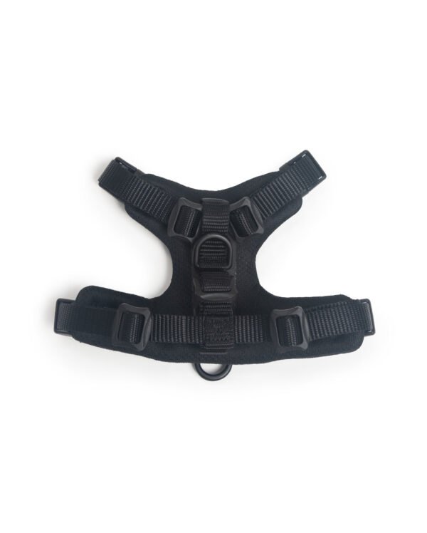 Signature Harness