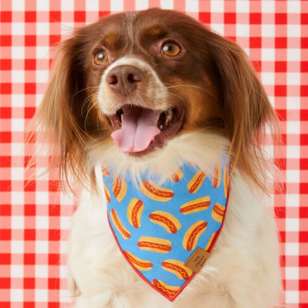 Hot Diggity Dog Bandana