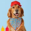 Hot Diggity Dog Bandana