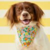 Island Time Dog Bandana