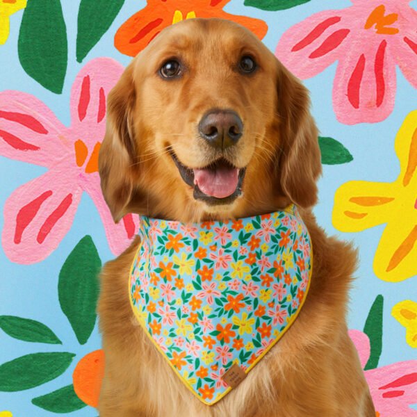 Island Time Dog Bandana