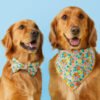 Island Time Dog Bandana