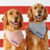 Red Stripe Dog Bandana
