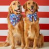 Liberty Garden Dog Bandana