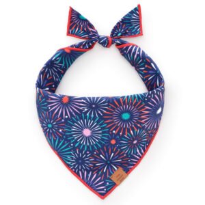 PrintFresh25_Sparks-Fly_Bandana Printfresh x TFD Sparks Fly Dog Bandana