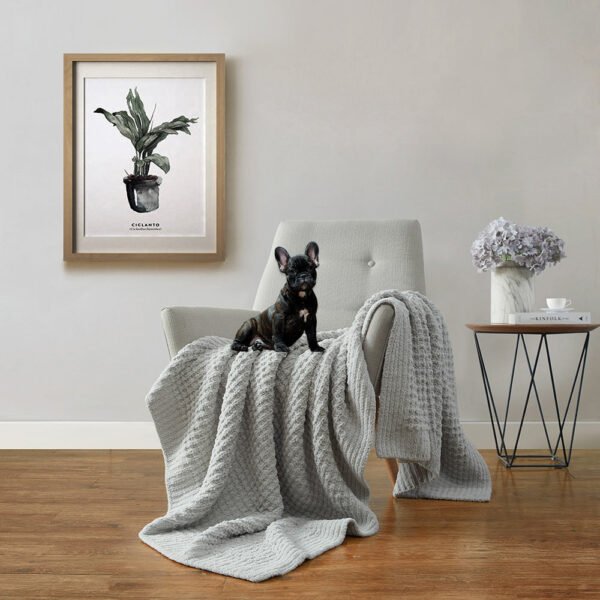 Sunday Citizen Waffle Lightweight Throw