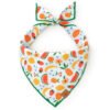 Fruit Salad Dog Bandana
