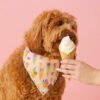 SundaeFunday_Bandana2 Sundae Funday Dog Bandana