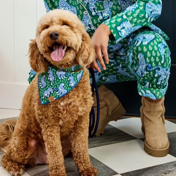 Printfresh x TFD Tiger Queen Dog Bandana