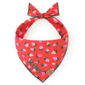 Valentines-25_Berry-Sweet_Bandana_Embroidered Berry Sweet Dog Bandana