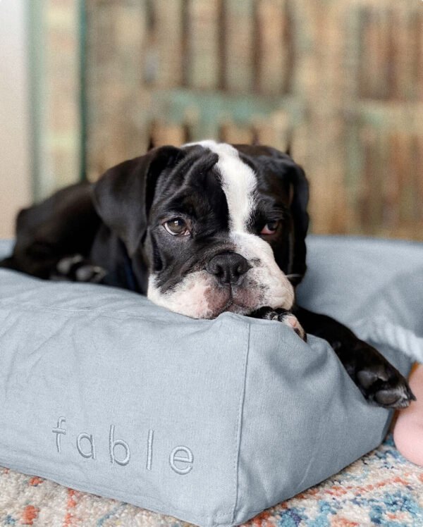 bed-BLUE-m-18lbs_A Bed