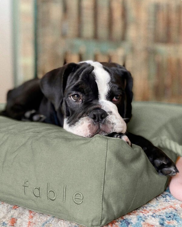 bed-GREEN-m-18lbs_A Bed