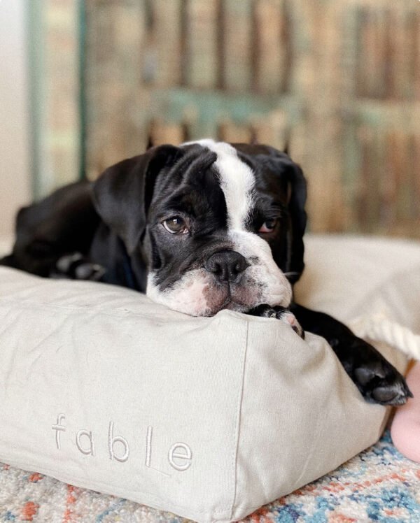 bed-white-m-18lbs Bed