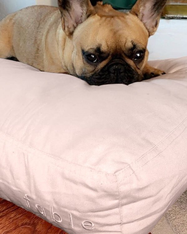 bed_040820_balithefrenchie2_A Bed