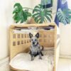 bluetheminiheeler Crate