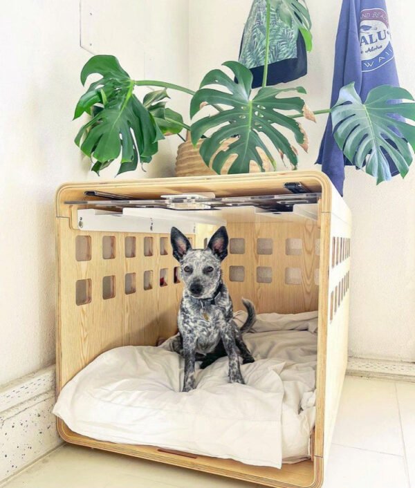 bluetheminiheeler Crate