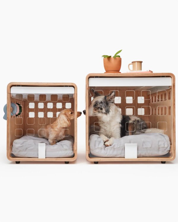 crate-sm-clear-5 Crate