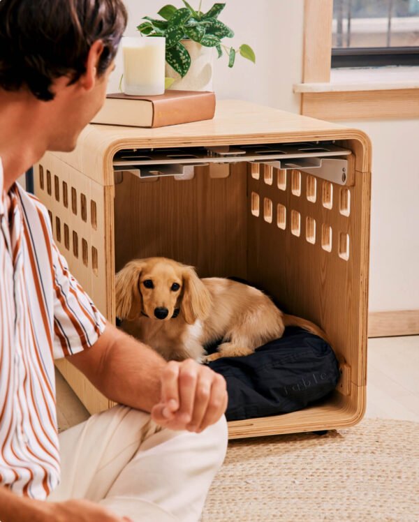 crate-sm-white-xss-10lbs Crate