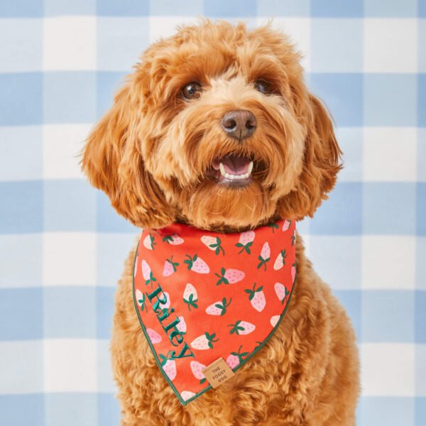 Berry Sweet Dog Bandana