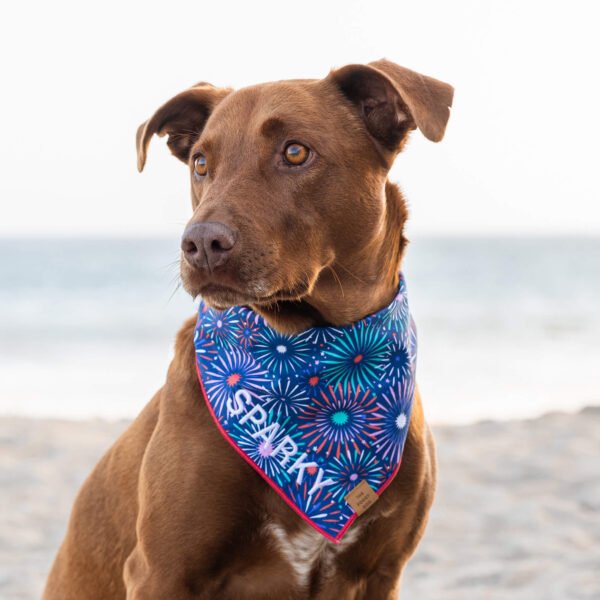 Printfresh x TFD Sparks Fly Dog Bandana