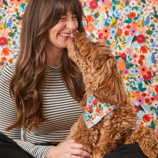 crop_GardenParty_Bandana_24-02-06_21187 Rifle Paper Co. x TFD Garden Party Dog Bandana