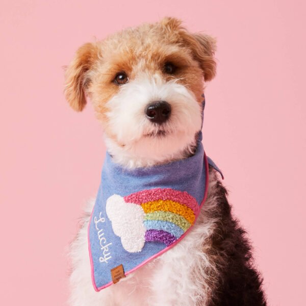 Rainbow Applique Dog Bandana