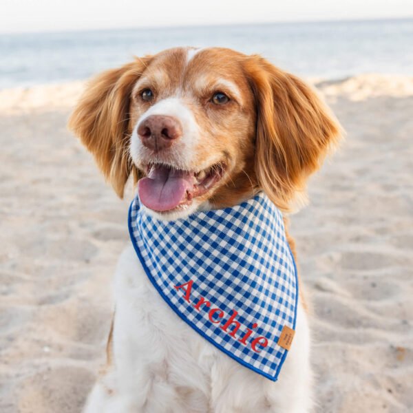 Lake Blue Gingham Dog Bandana