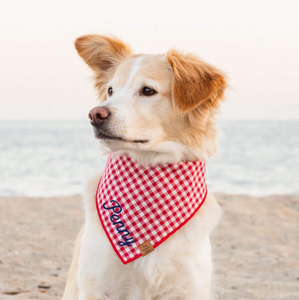 Red Gingham Dog Bandana