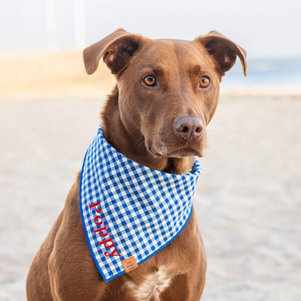 Lake Blue Gingham Dog Bandana