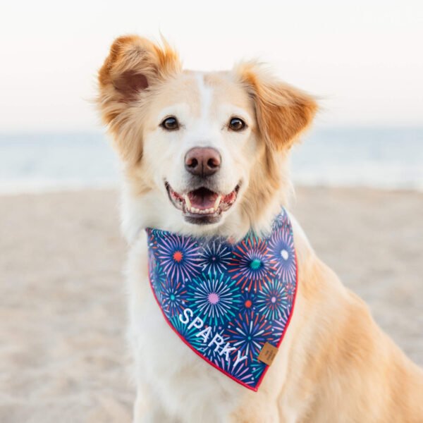 Printfresh x TFD Sparks Fly Dog Bandana