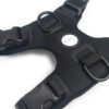 Signature Harness